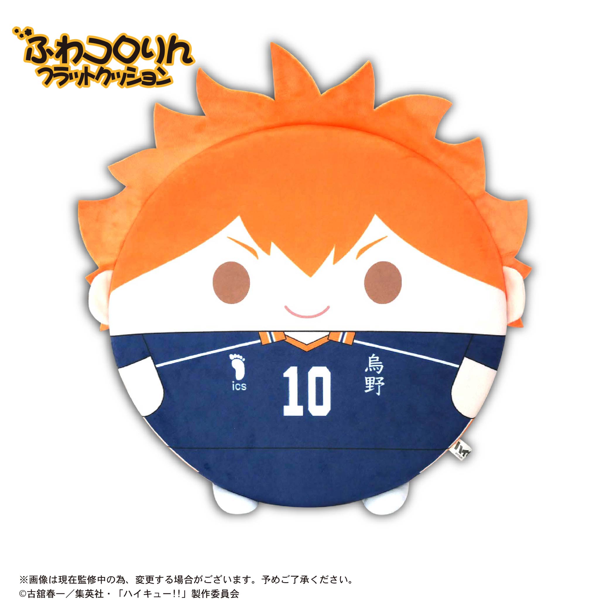 HQ-89 "Haikyu!!" Fuwakororin Flat Cushion A Hinata Shoyo