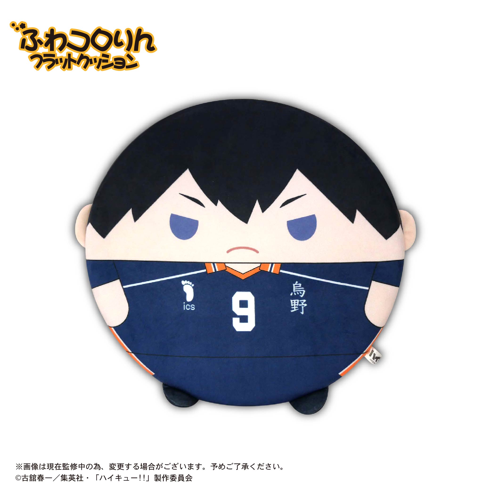 HQ-89 "Haikyu!!" Fuwakororin Flat Cushion B Kageyama Tobio